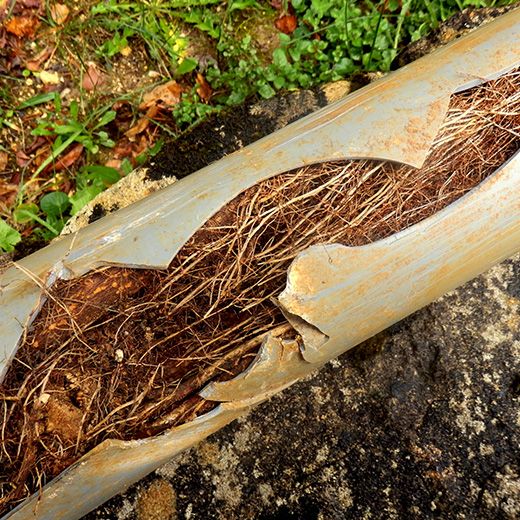 Same Day Drain Sewer & Rooter Pros Across Lincoln